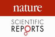 Purification of aquaculture effluent using Picralima nitida seeds