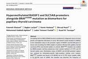 Hypermethylated RASSF1 and SLC5A8 promoters alongside BRAFV600E mutation as biomarkers for papillary thyroid carcinoma