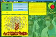 Developing a web-based system for national collection and analysis of population mixing data by the Institute for Environmental Research at Tehran University of Medical Sciences