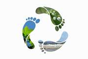 Analysis of the Water Footprint of Domestic Consumers in Iran