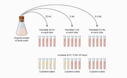 MPN Calculator